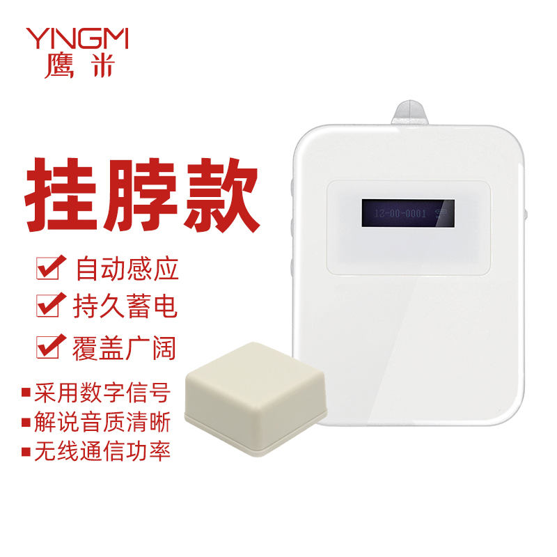 電子導(dǎo)游器